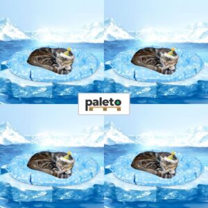 Box <span class="ks">6 ks</span> v hodnotě <span class="kc">2 500 Kč</span> &ndash; <span class="cats">Chovatelství</span> (#80433)